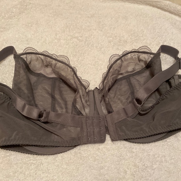 Elegant Sheer Lace Bra in Gray - Picture 4 of 6